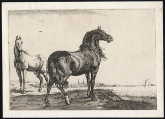 5 Antique Master Prints-HORSE-SERIES-Potter-ca. 1660