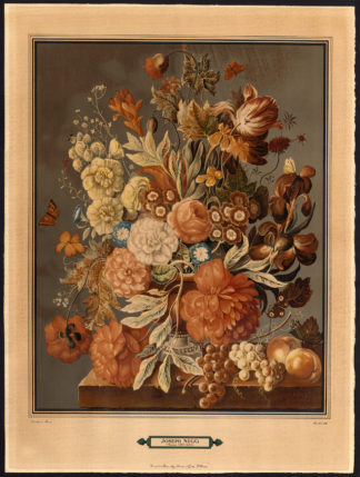 Antique Print-BOUQUET-PEACH-GRAPE-BUTTERFLY-SNAIL-TULIP-Nigg-Mourlot-c. 1940