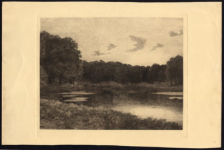 Antique Print-FOREST-LAKE-LANDSCAPE-REED-DANMARK-Holm-1919