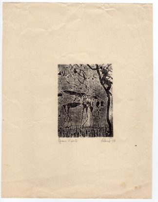 Antique Master Print-MUSQUITO-MODERN-PROOF PRINT-Anonymous-1958