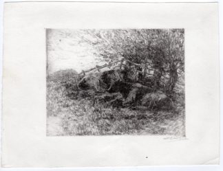 Antique Master Print-COWS IN MEADOW-J. Engels-c.1920