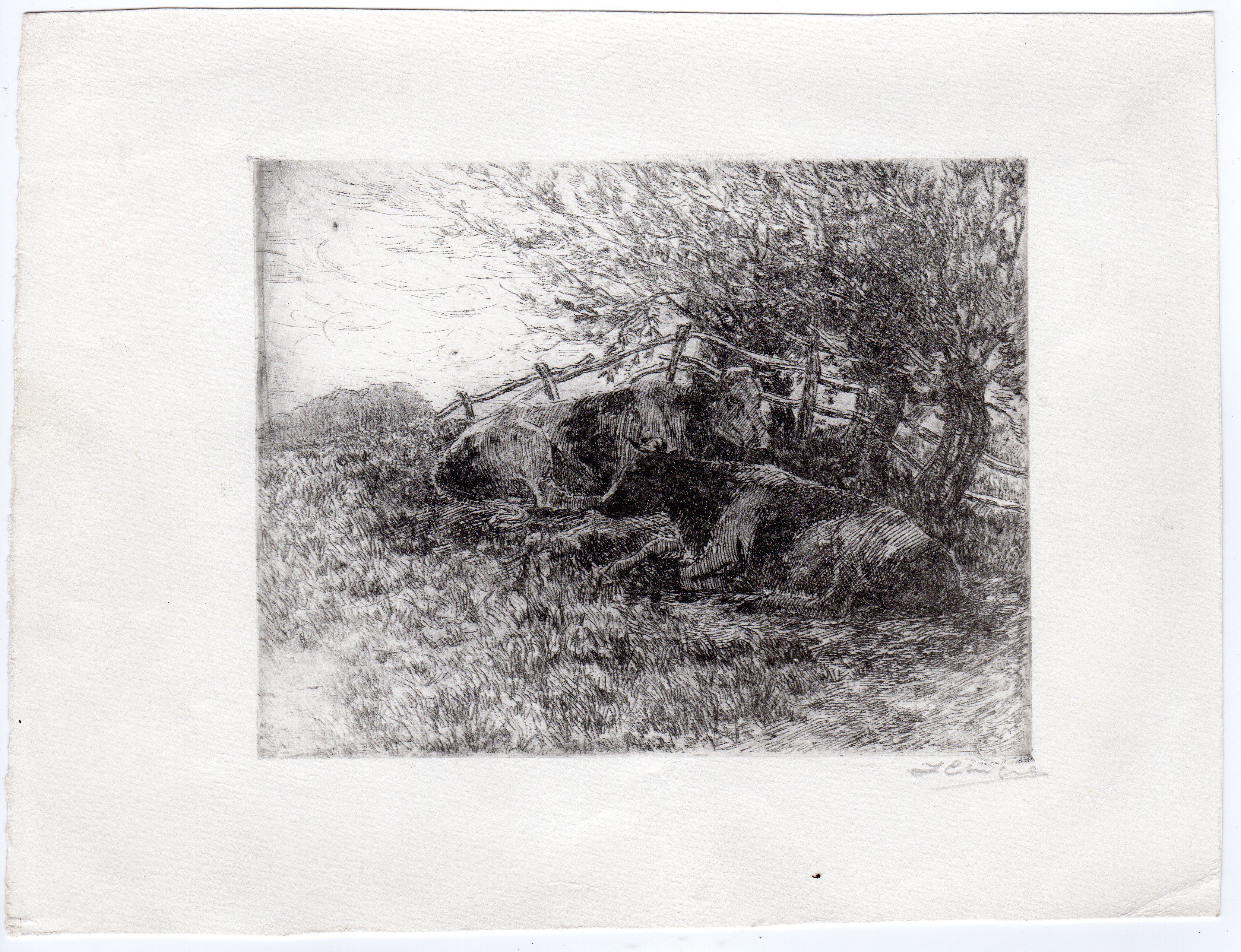 , Antique Master Print-COWS IN MEADOW-J. Engels-c.1920, Pictura Antique Prints