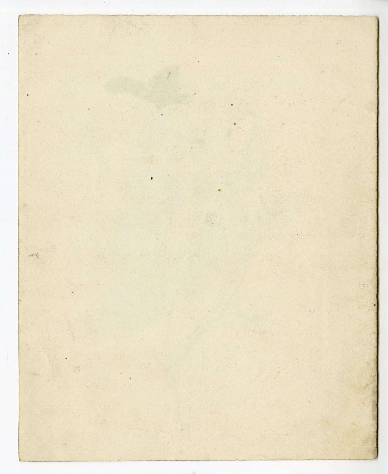 , Antique Drawing-ROSE SPECIES-Anonymous-19th.c., Pictura Antique Prints