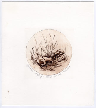 Antique Print-FALLEN BIRD-FLEDGLING-Van Hemert-1976