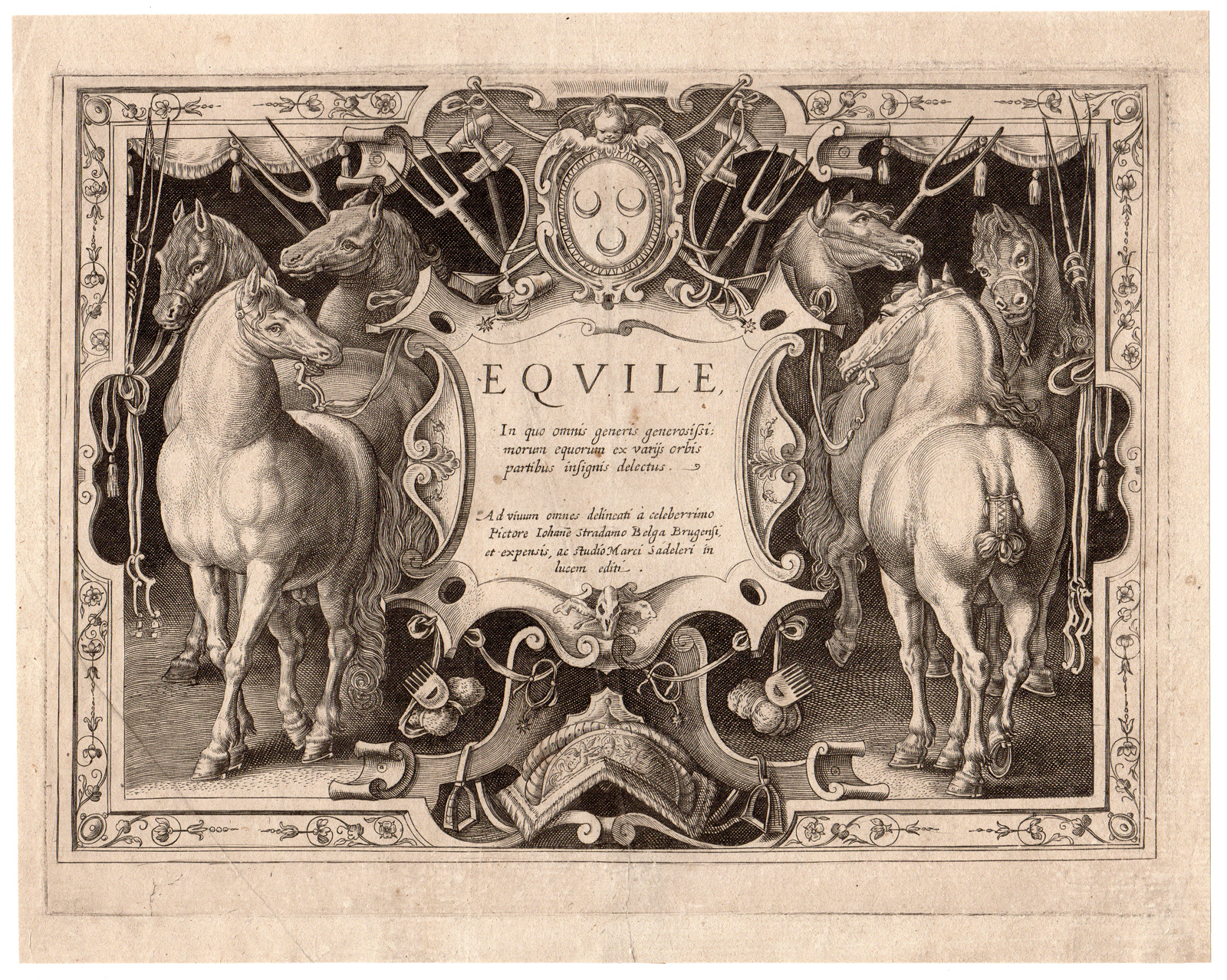 , Rare Antique Master Print-EQUILE-HORSES-DON JUAN-Stradanus-Sadeler-1648, Pictura Antique Prints