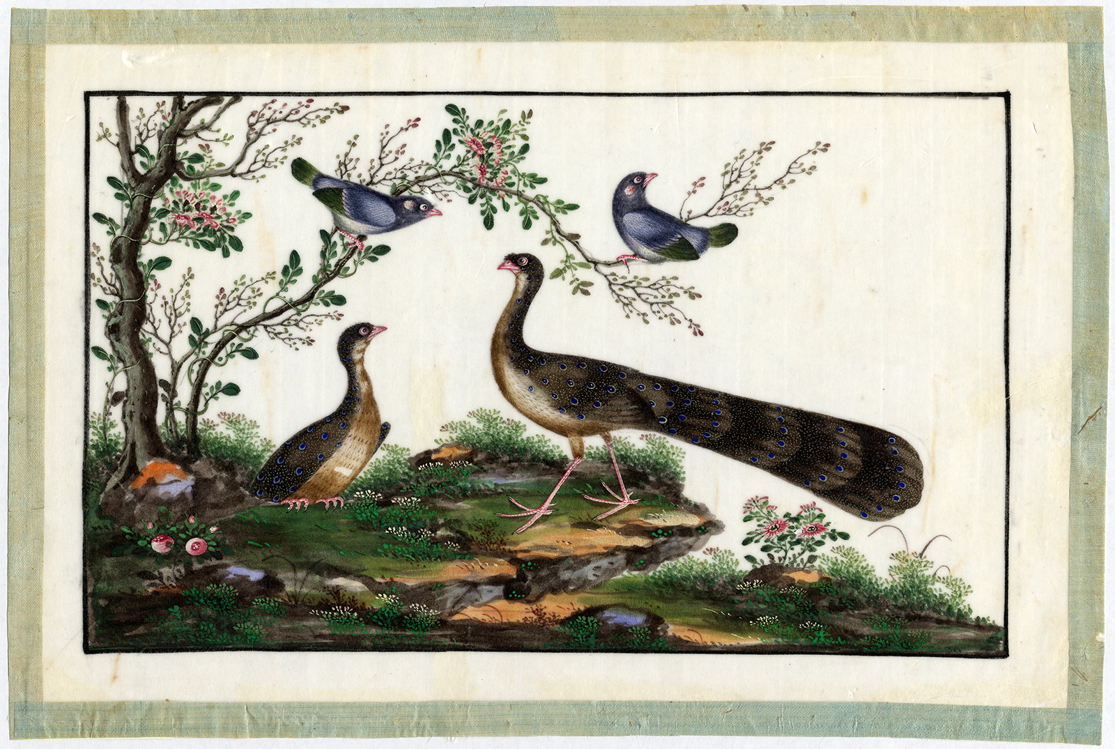 , Antique Drawing-FLOWERS-PEACOCK-TREE-BIRD-Anonymous-19th cent., Pictura Antique Prints