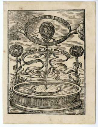 Rare Antique Print-WOODCUT-ALLEGORY ART & NATURE-Anonymous-c.1580