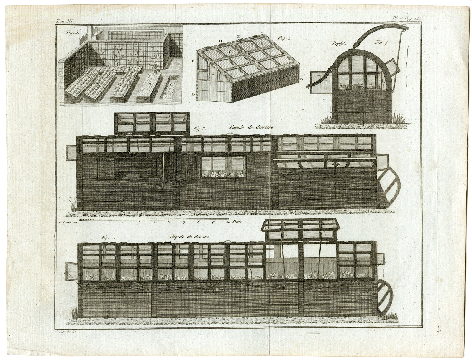 , Antique Print-GREEN HOUSES-Sellier-c.1790, Pictura Antique Prints