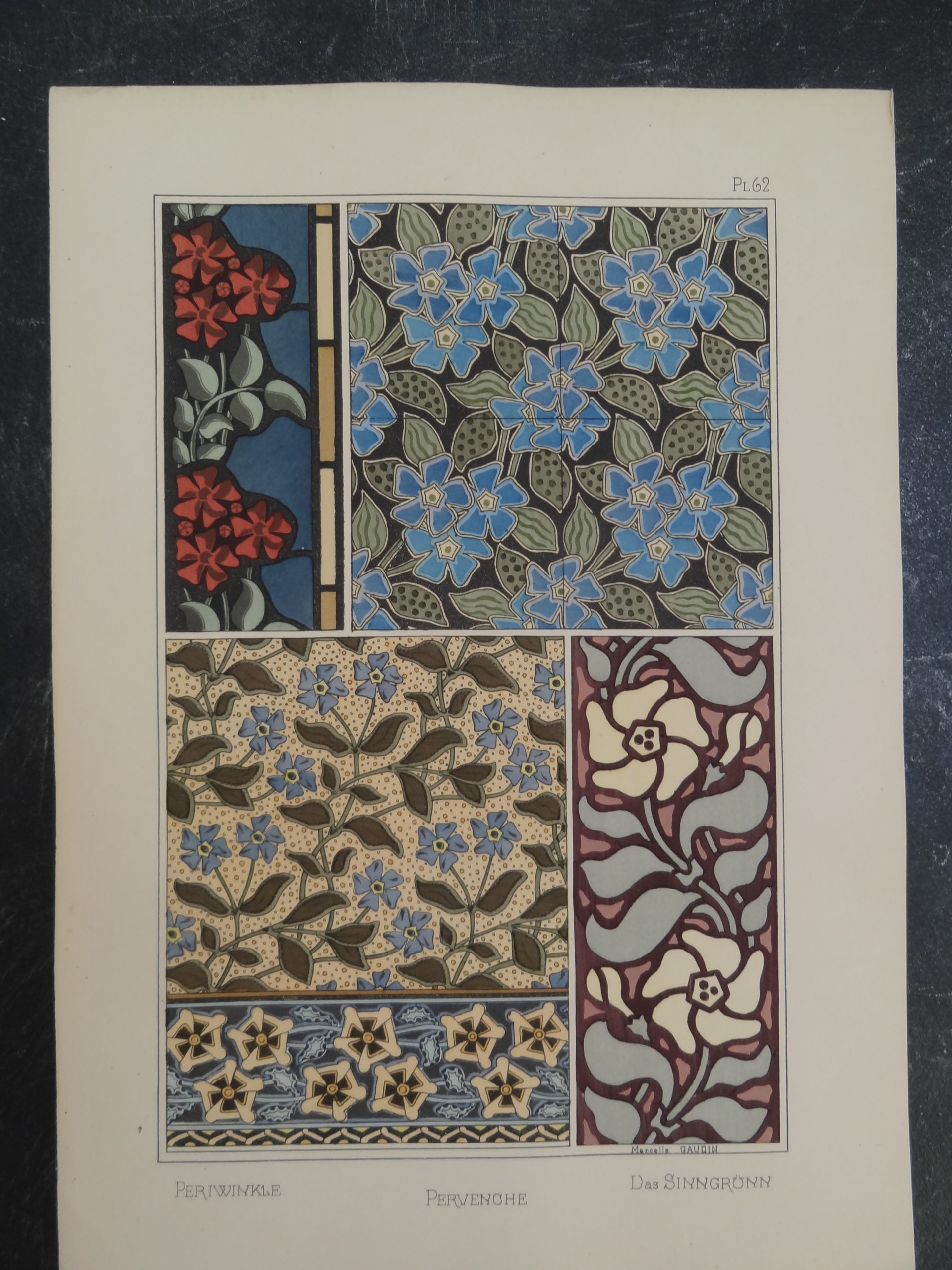 , Antique Print-FLOWER DESIGN-PERIWINKLE-ART NOUVEAU-Grasset-Gaudin-1896, Pictura Antique Prints