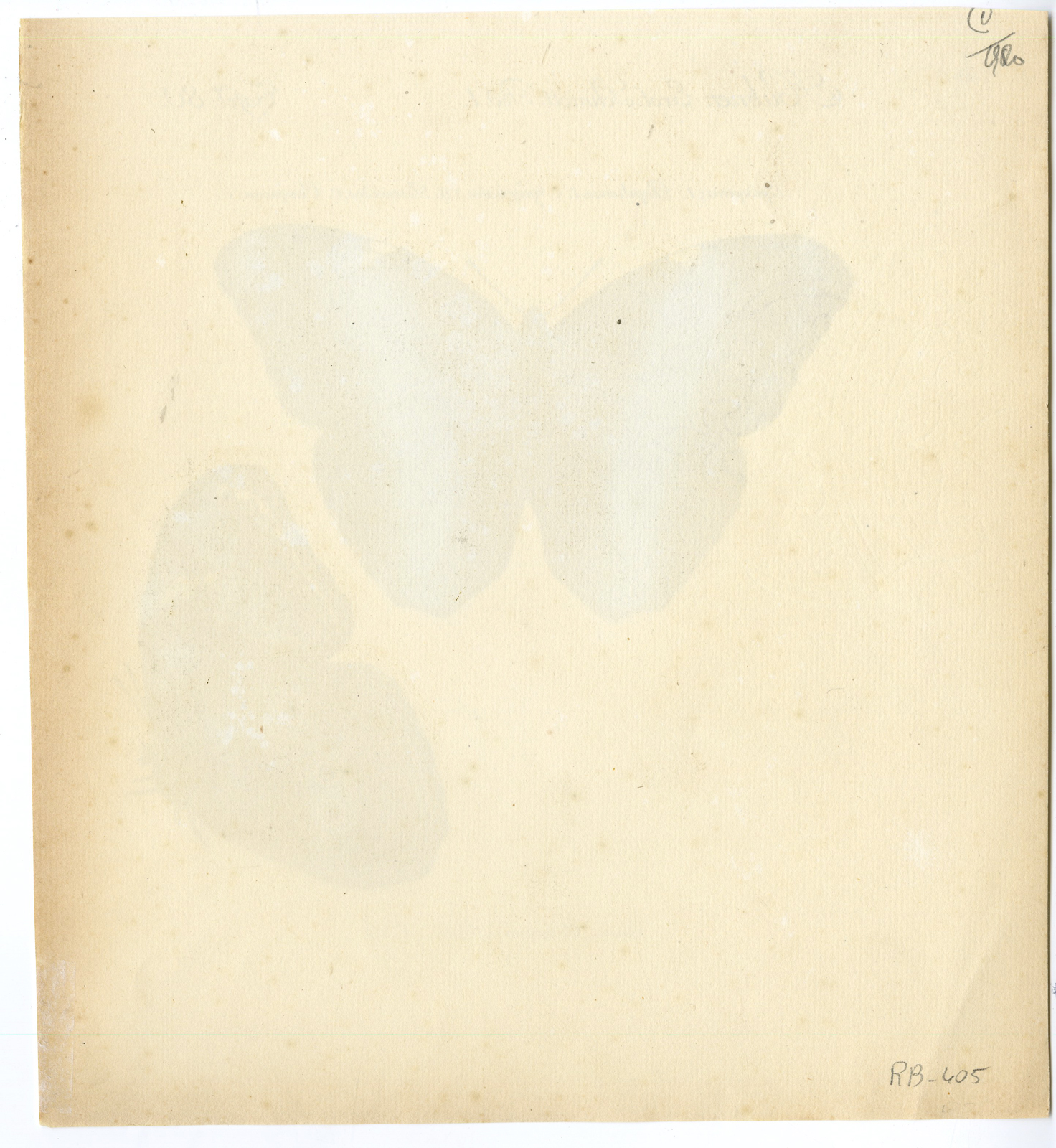 , Antique Print-BUTTERFLY SPECIES-Hübner-later ed., Pictura Antique Prints