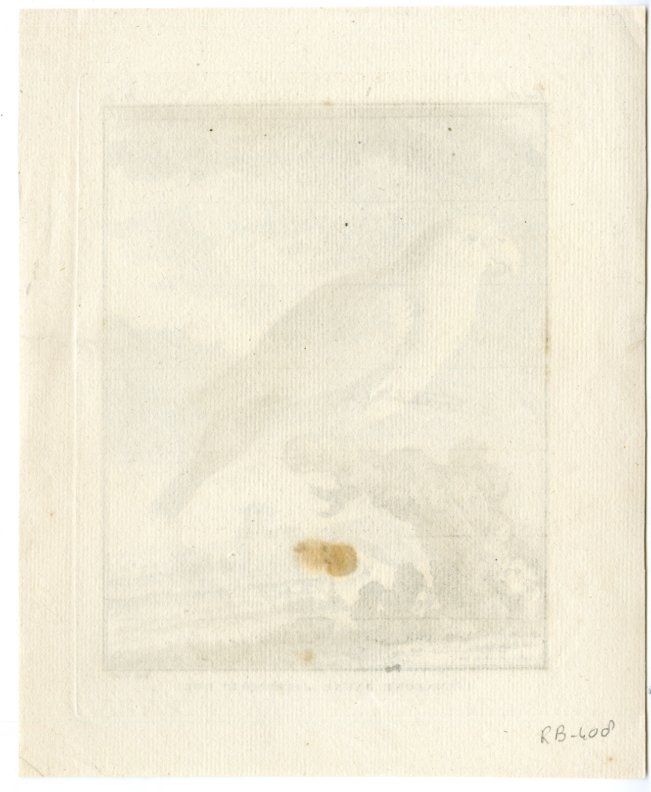 , Antique Print-YELLOW CROWNED AMAZON PARROT-Buffon-Hulk-1755, Pictura Antique Prints