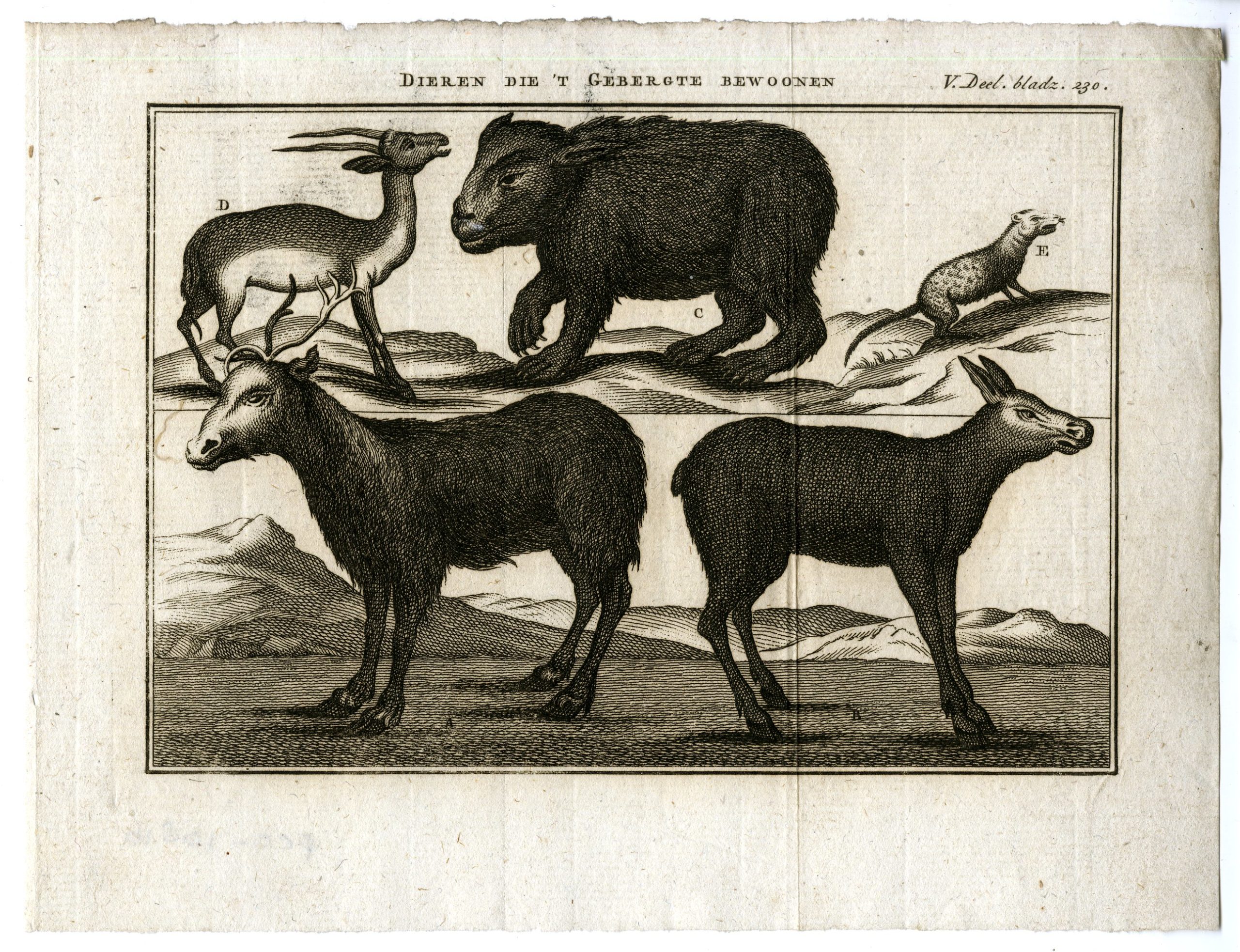 , Catalogue of available Antique Prints-PROFESSIONS-TECHNOLOGY-Pluche-1799, Pictura Antique Prints