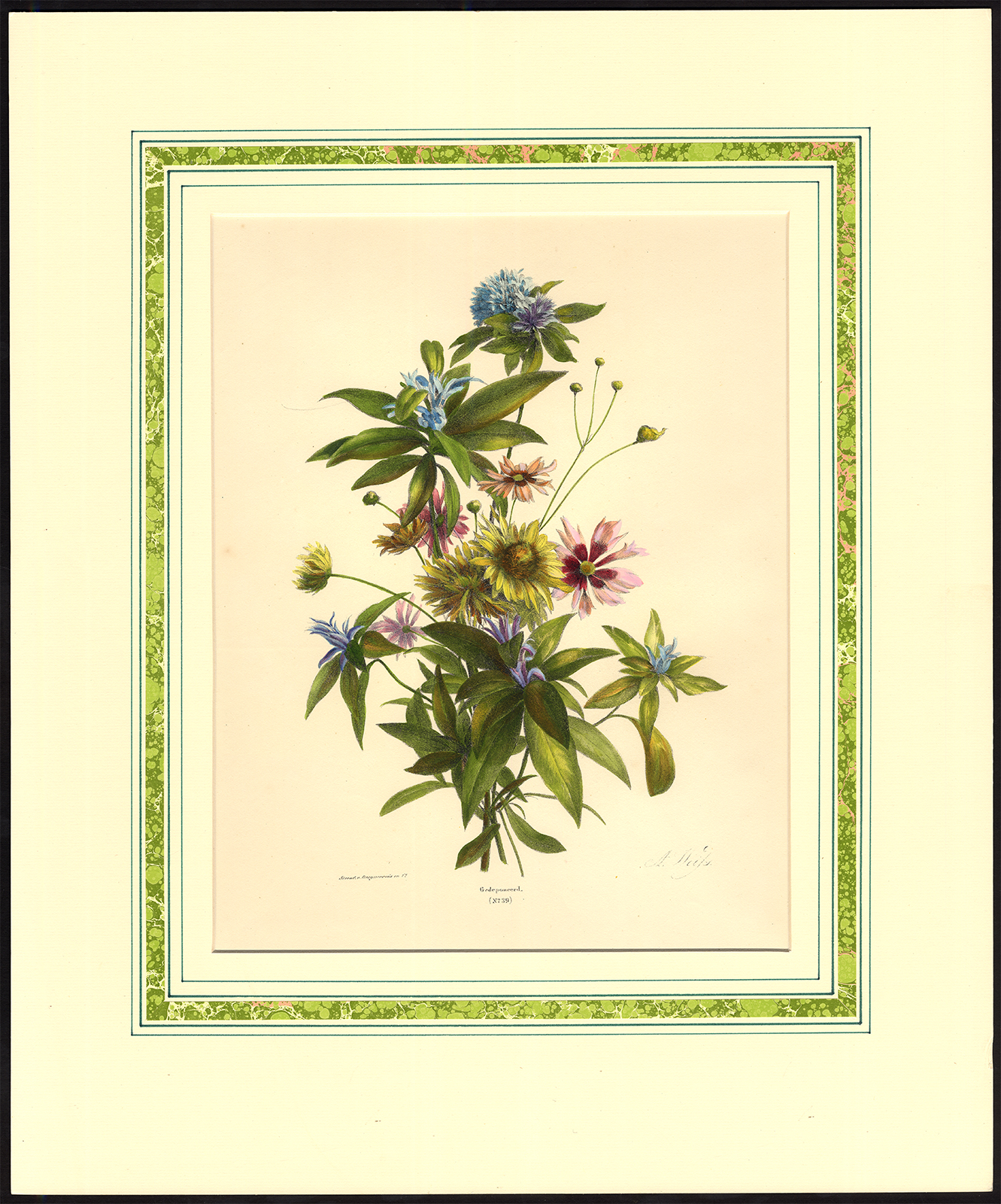 , Antique Print-BOUQUET-BLUE LOBELIA-OXEYE-WILDFLOWER-NO.39-Weiss-1850, Pictura Antique Prints