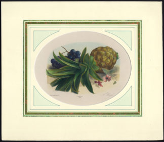 Antique Print-STILL LIFE-FRUIT-PINEAPPLE-GRAPE-FLOWER-NO. 24-Weiss-Desguerrois-1850