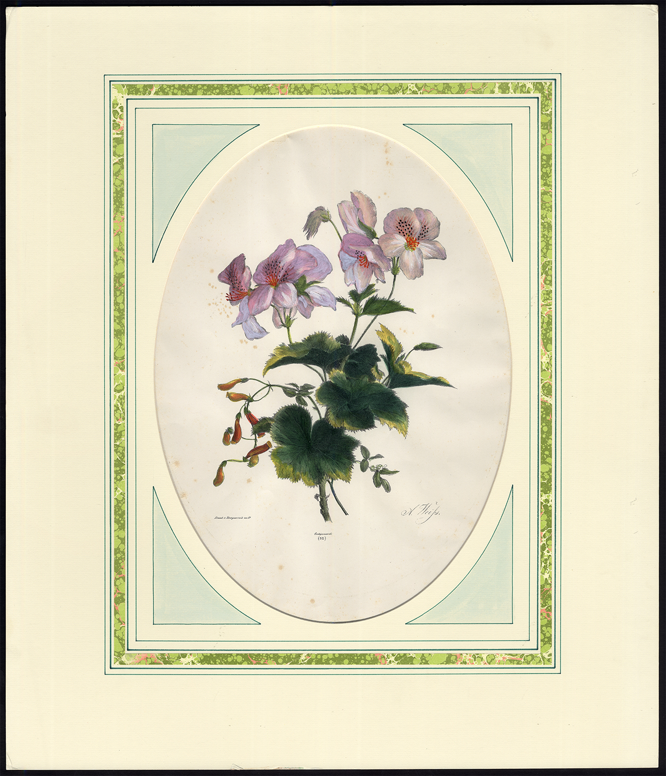 , Antique Print-FLOWER-VIOLET-CULTIVAR-NO. 32-ANTON WEISS-Weiss-Desguerrois-1830, Pictura Antique Prints