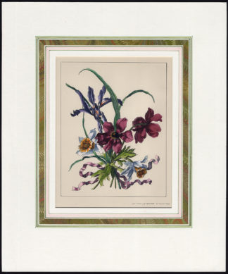 Antique Print-GAND COLOURED-BOUQUET-NARCISSUS-IRIS-ANEMONE-RIBBON-Batiste-1890