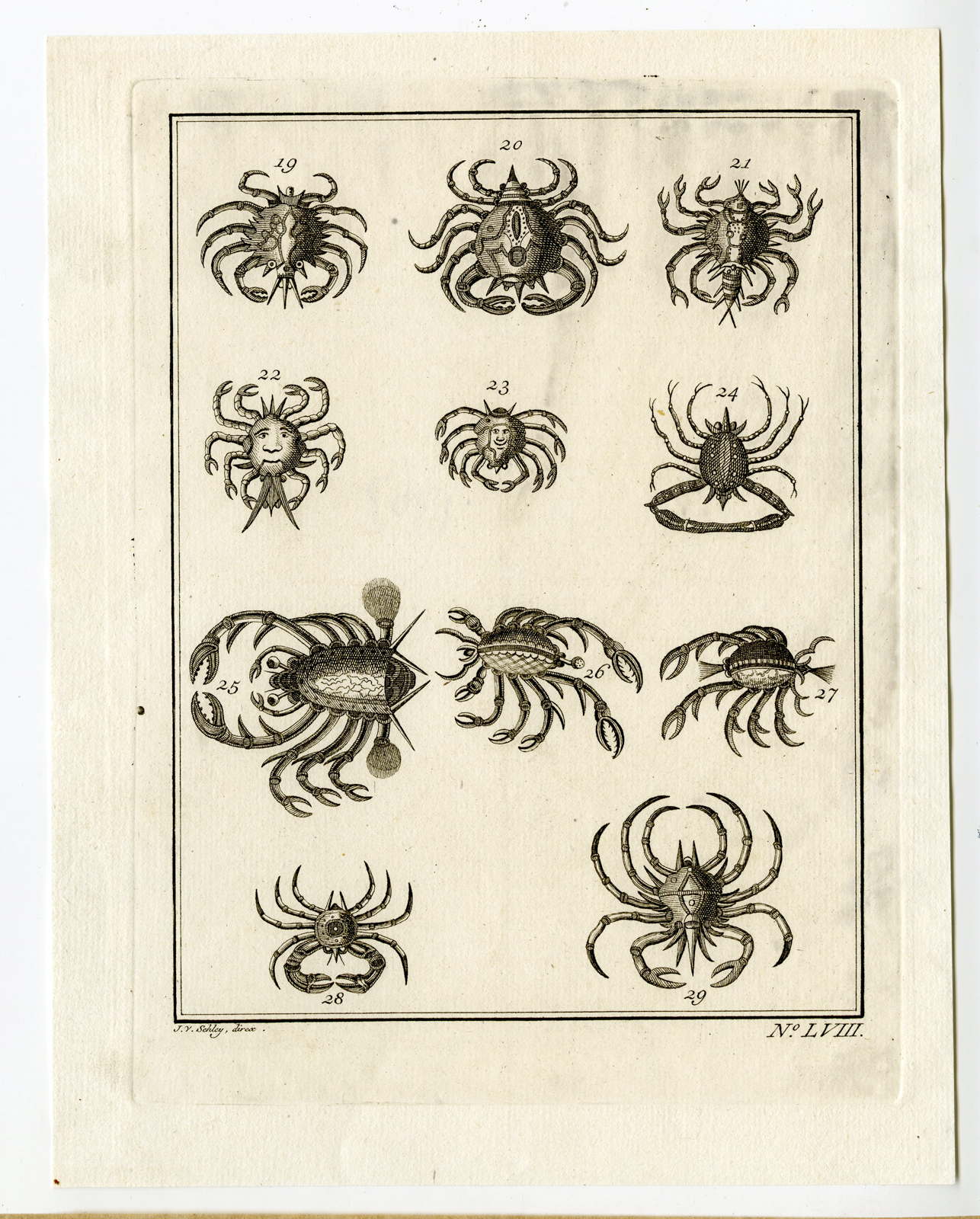 , Antique Print-NATURAL HISTORY-CRABS-Schley-1748, Pictura Antique Prints