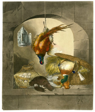 Antique Print-HUNTING STILL LIFE-GAME-BIRDS-PHAESANT-Stevens-19th.c.