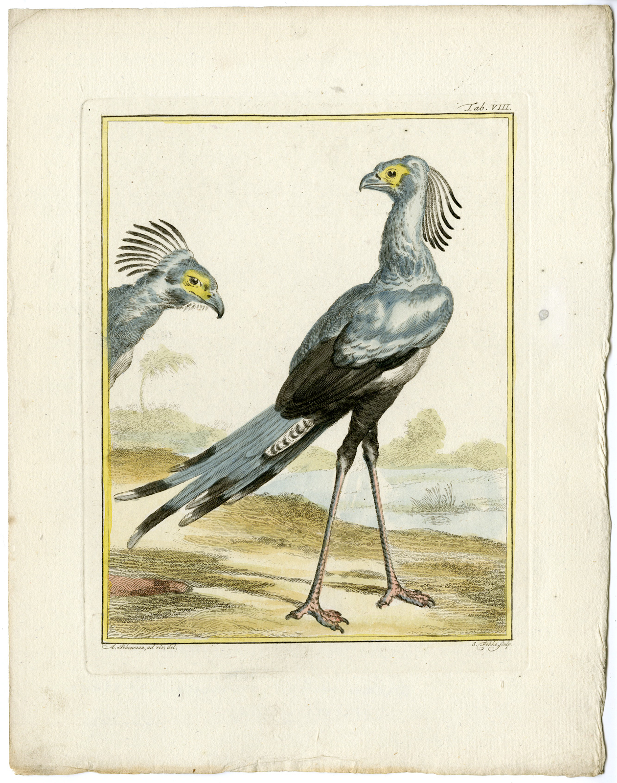 , Catalogue of available Antique Prints-ANIMALS-BIRDS-Arnout Vosmaer-1804, Pictura Antique Prints