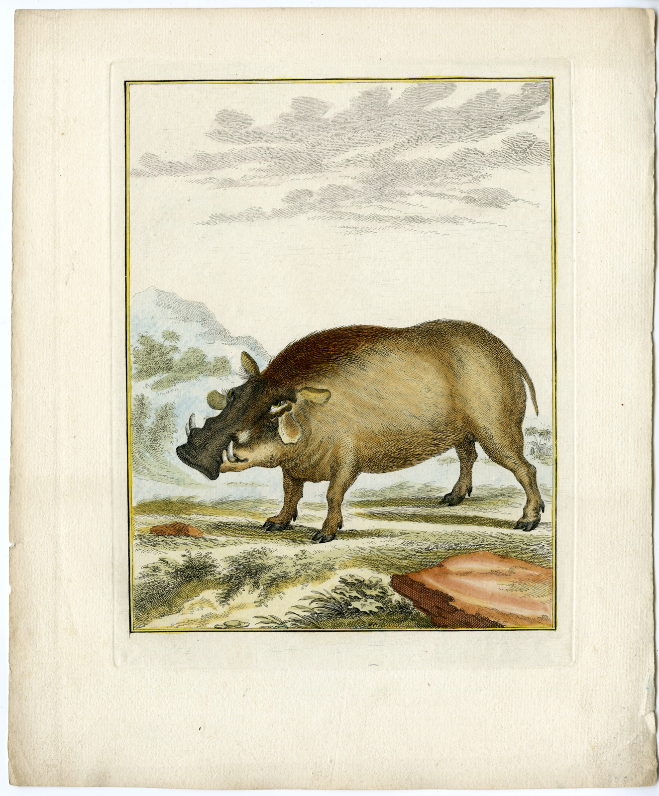 , Catalogue of available Antique Prints-ANIMALS-BIRDS-Arnout Vosmaer-1804, Pictura Antique Prints