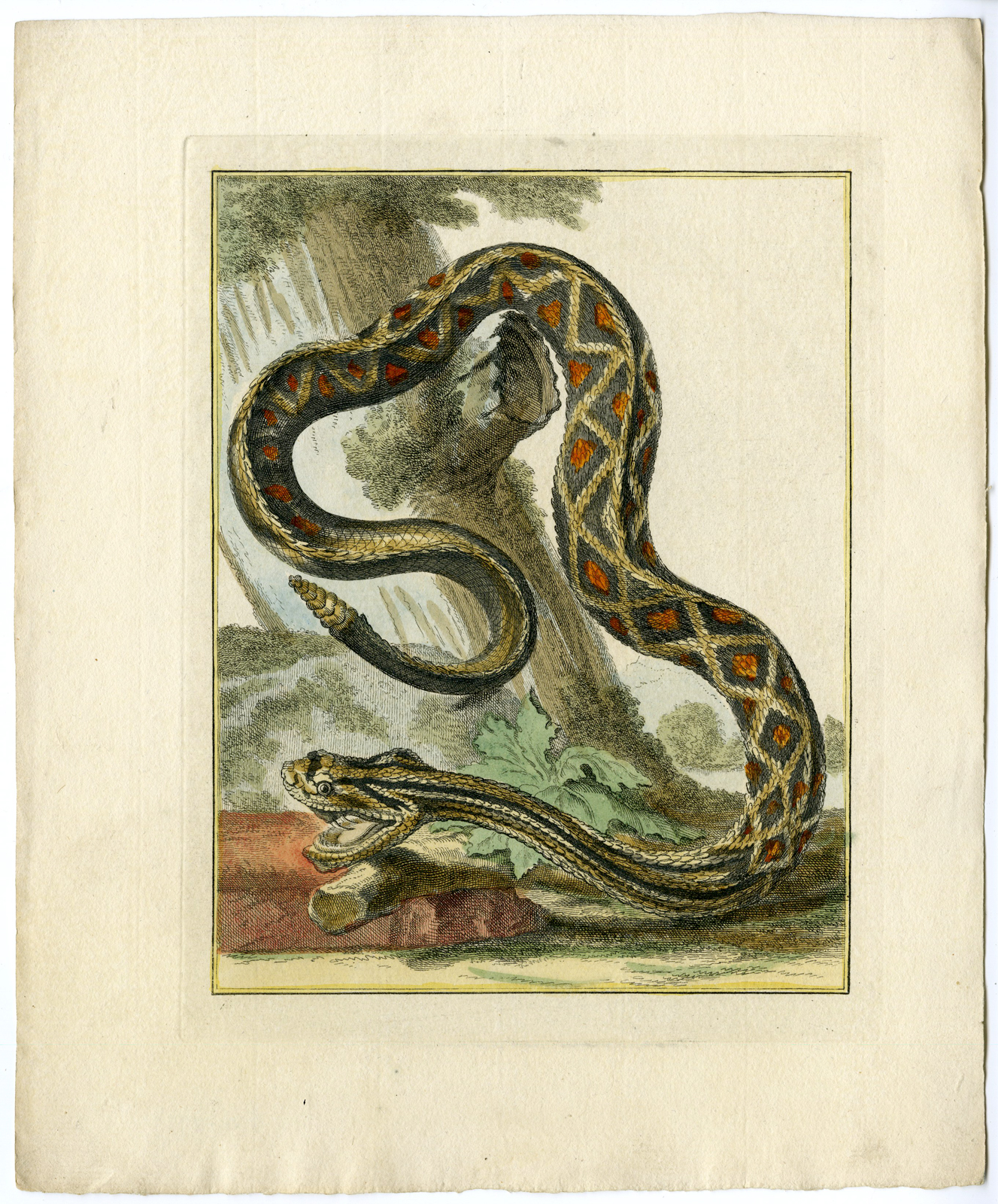 , Catalogue of available Antique Prints-ANIMALS-BIRDS-Arnout Vosmaer-1804, Pictura Antique Prints