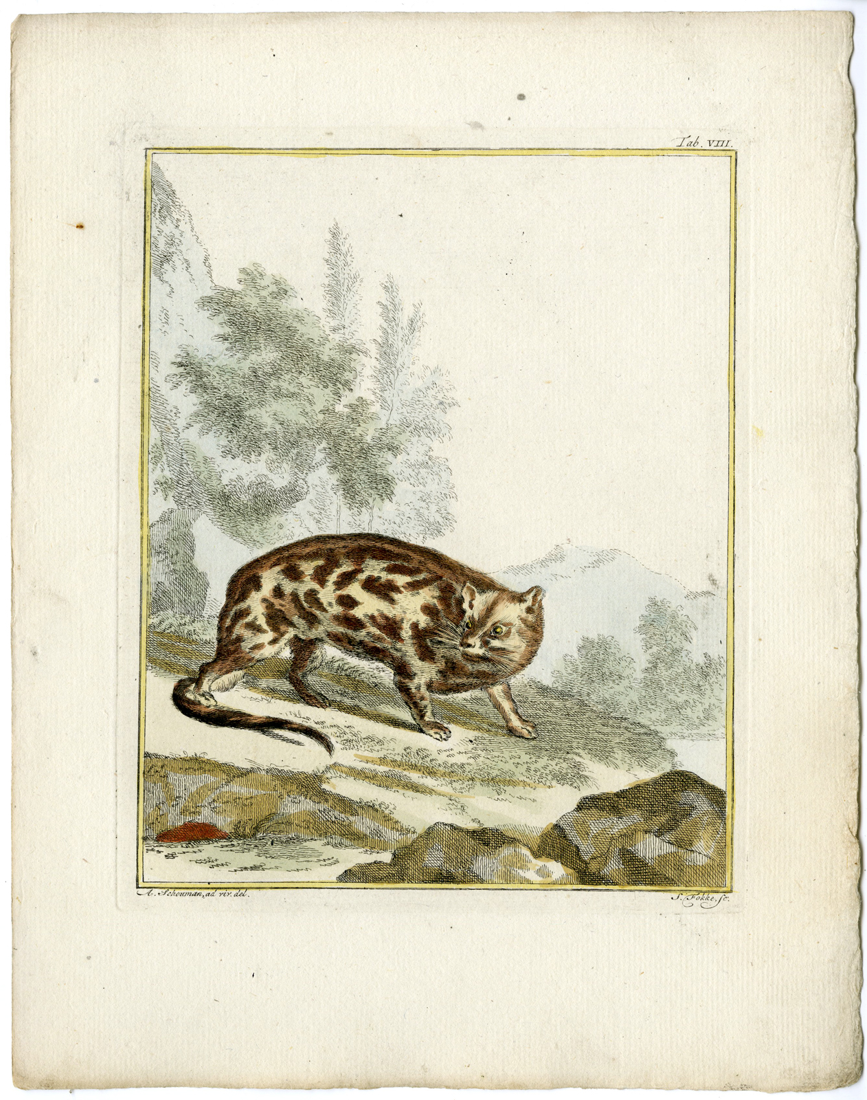 , Catalogue of available Antique Prints-ANIMALS-BIRDS-Arnout Vosmaer-1804, Pictura Antique Prints