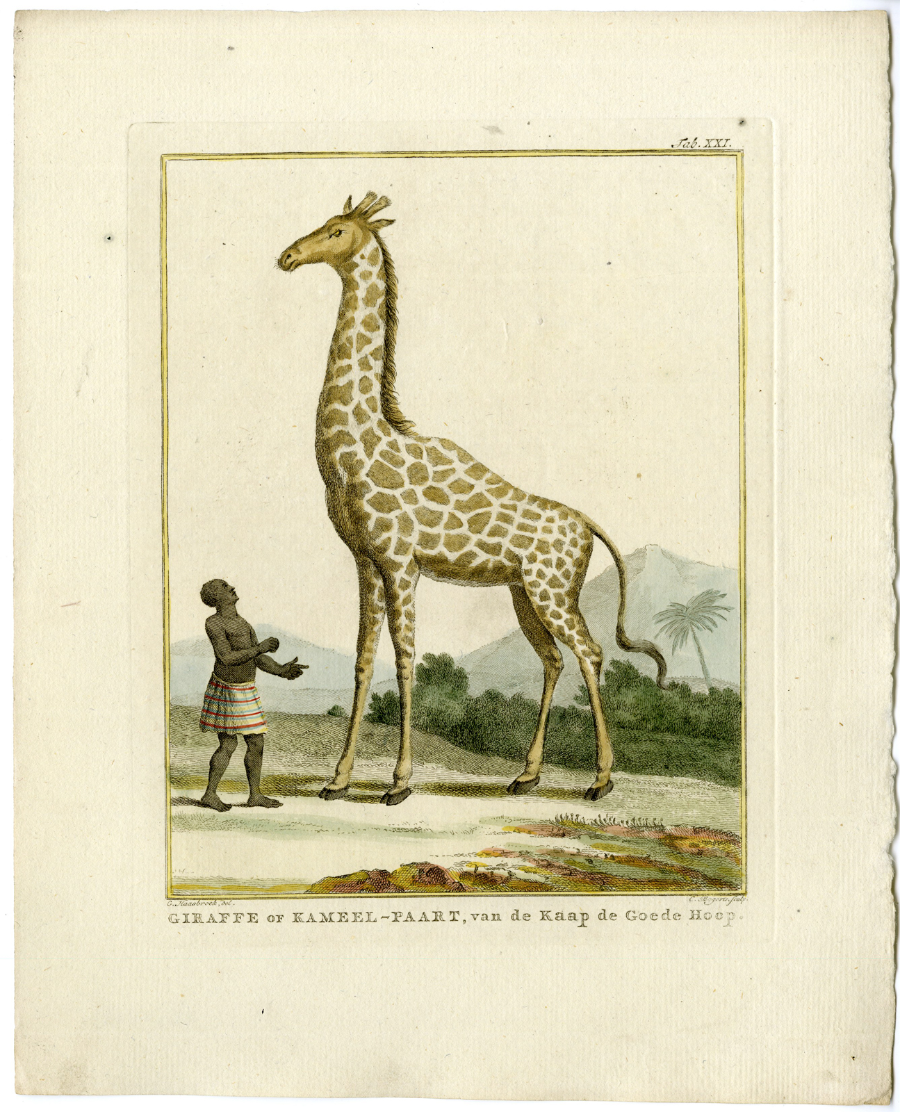 , Catalogue of available Antique Prints-ANIMALS-BIRDS-Arnout Vosmaer-1804, Pictura Antique Prints
