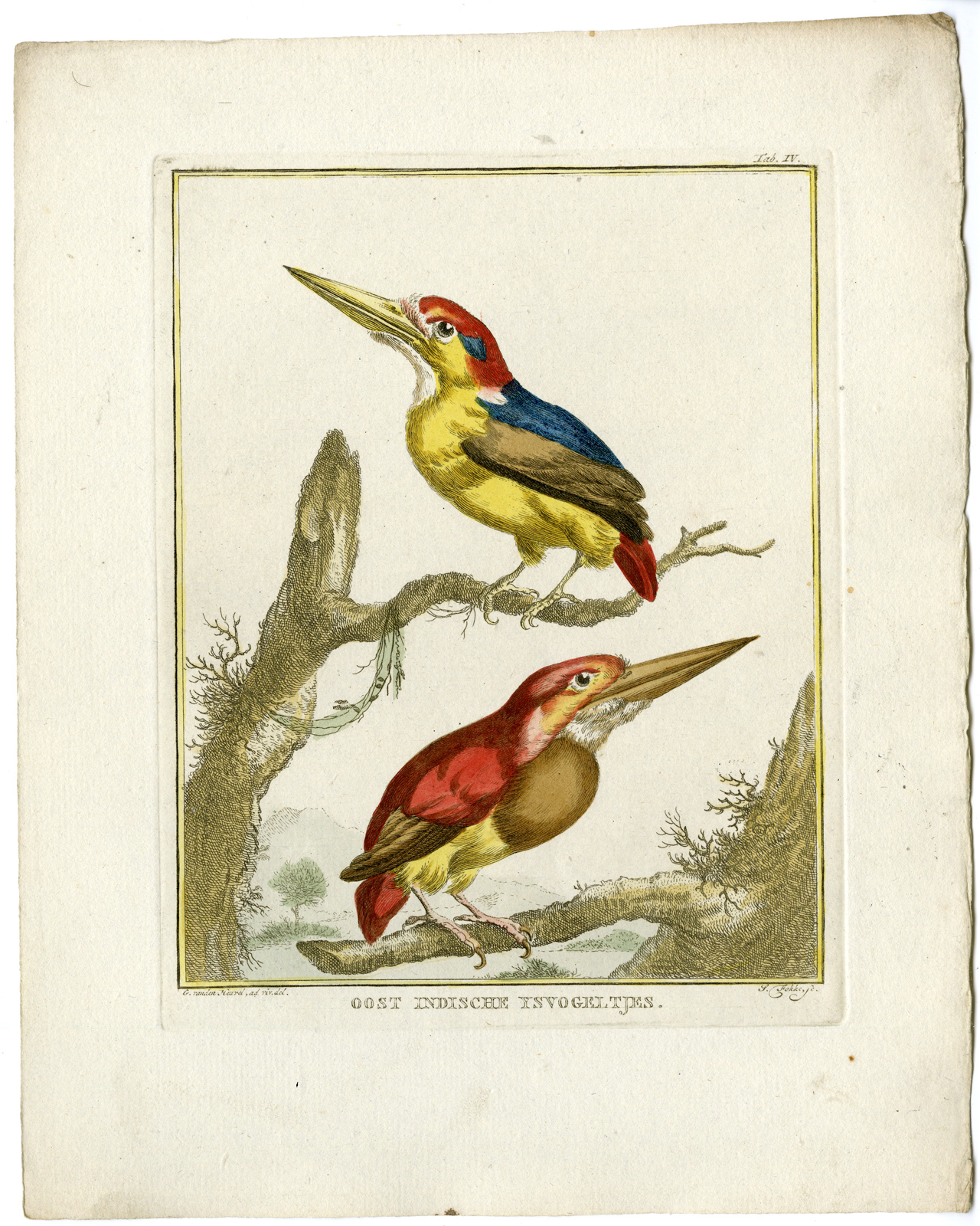 , Catalogue of available Antique Prints-ANIMALS-BIRDS-Arnout Vosmaer-1804, Pictura Antique Prints