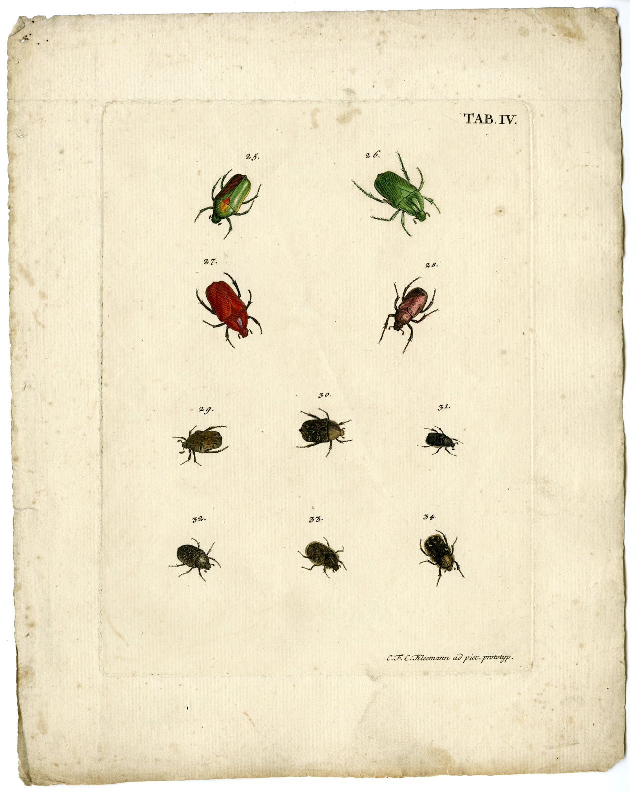 , Catalogue of available Antique Prints-INSECTS-J.E. Voet-Kleemann ao.-1766, Pictura Antique Prints