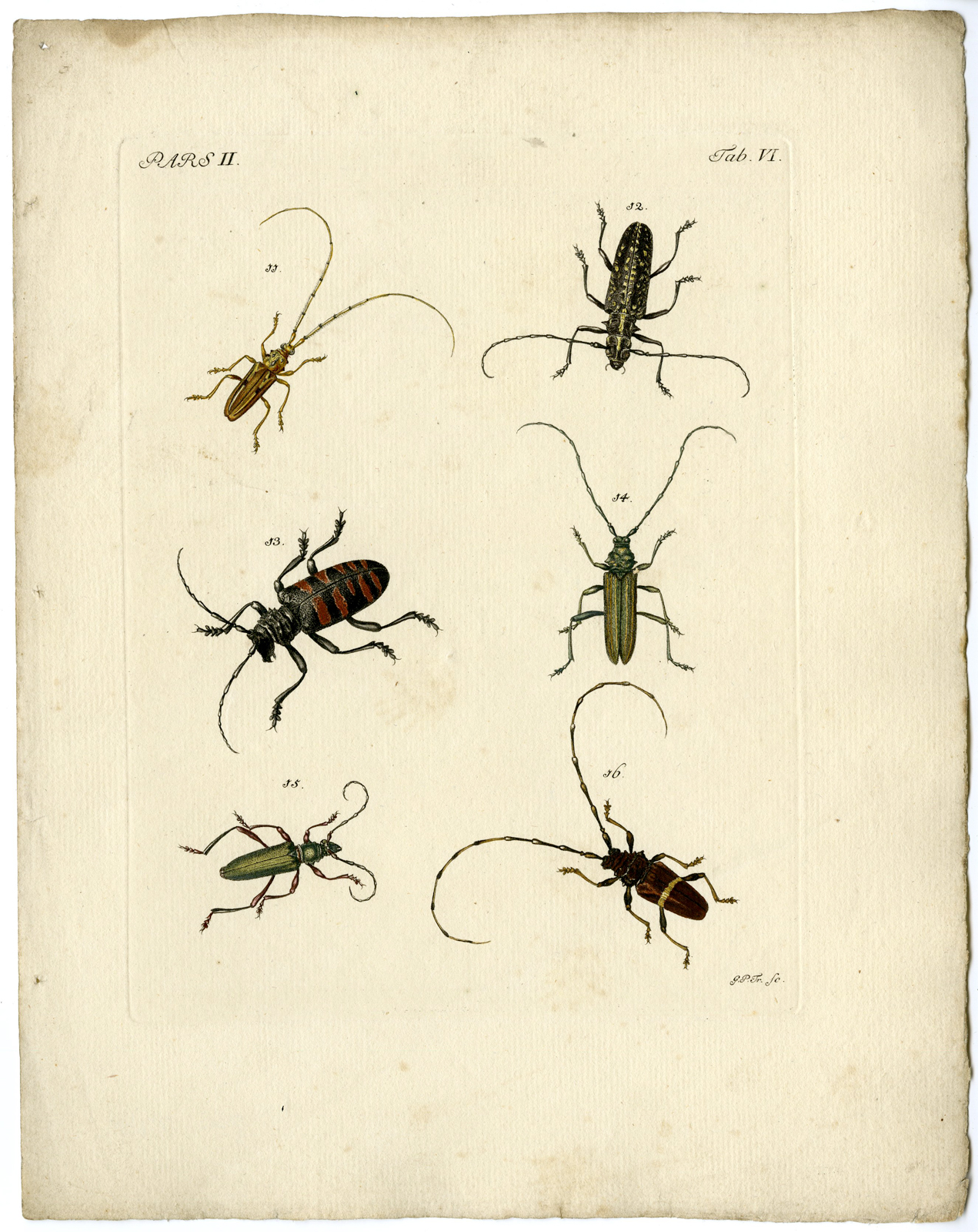 , Catalogue of available Antique Prints-INSECTS-J.E. Voet-Kleemann ao.-1766, Pictura Antique Prints