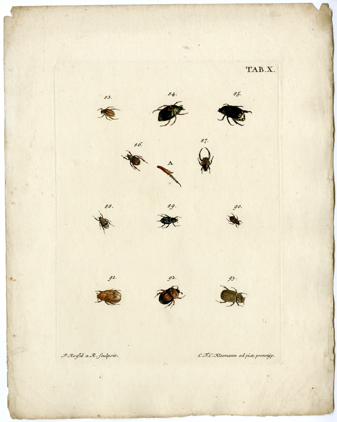 , Catalogue of available Antique Prints-INSECTS-J.E. Voet-Kleemann ao.-1766, Pictura Antique Prints
