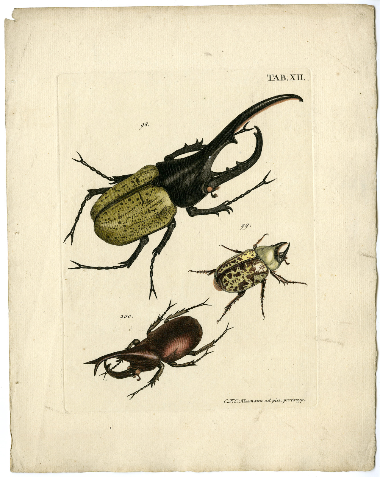 , Antique Print-INSECTS-J.E. Voet-Kleemann ao.-1766, Pictura Antique Prints