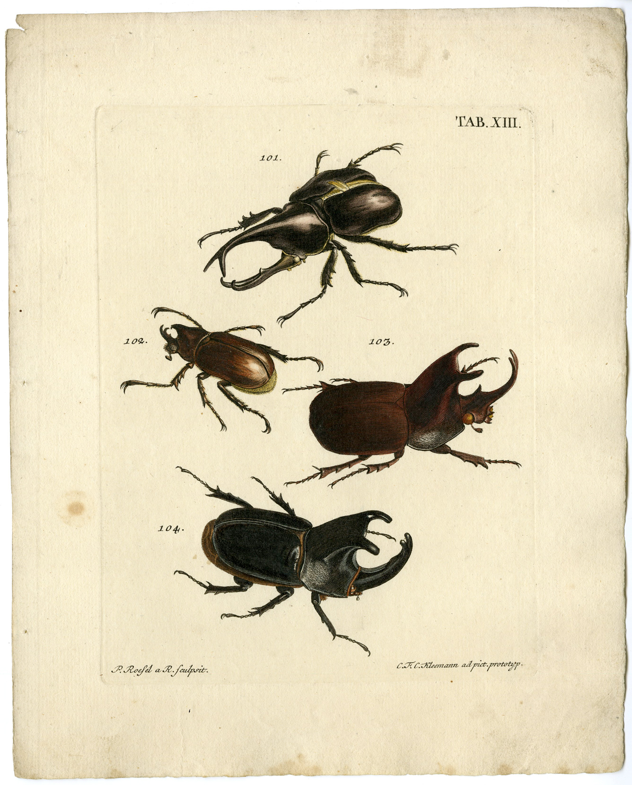 , Catalogue of available Antique Prints-INSECTS-J.E. Voet-Kleemann ao.-1766, Pictura Antique Prints