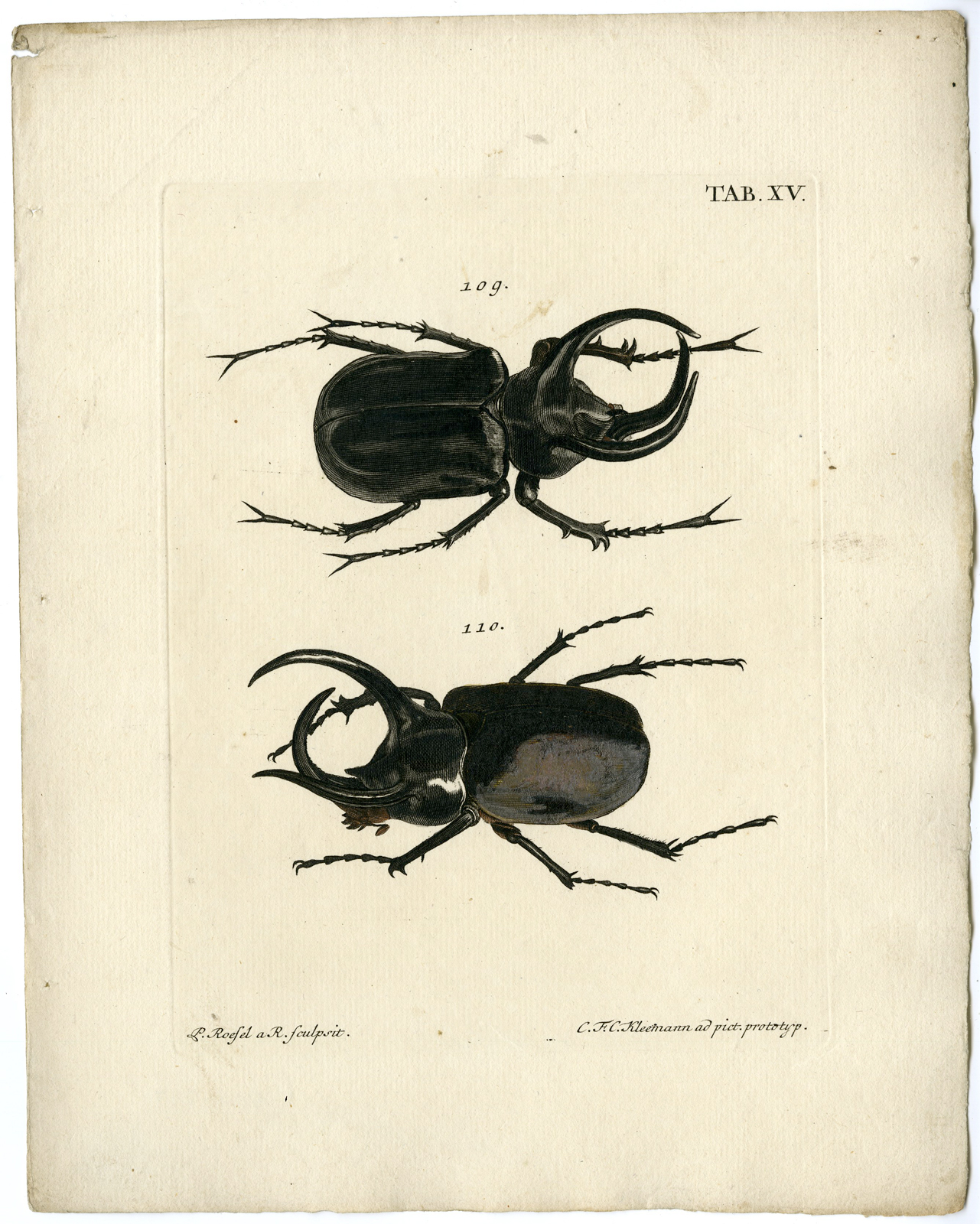 , Catalogue of available Antique Prints-INSECTS-J.E. Voet-Kleemann ao.-1766, Pictura Antique Prints