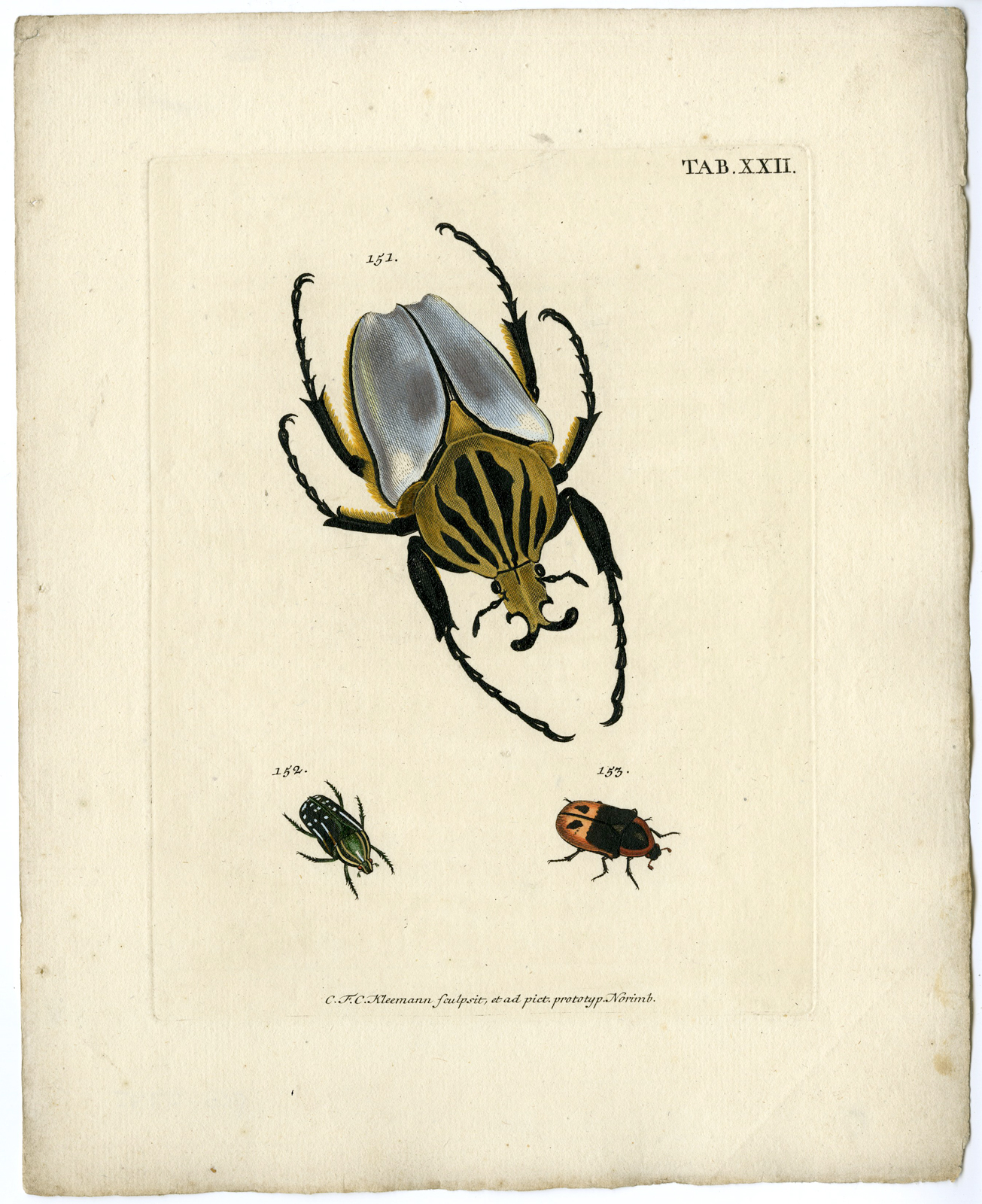 , Catalogue of available Antique Prints-INSECTS-J.E. Voet-Kleemann ao.-1766, Pictura Antique Prints