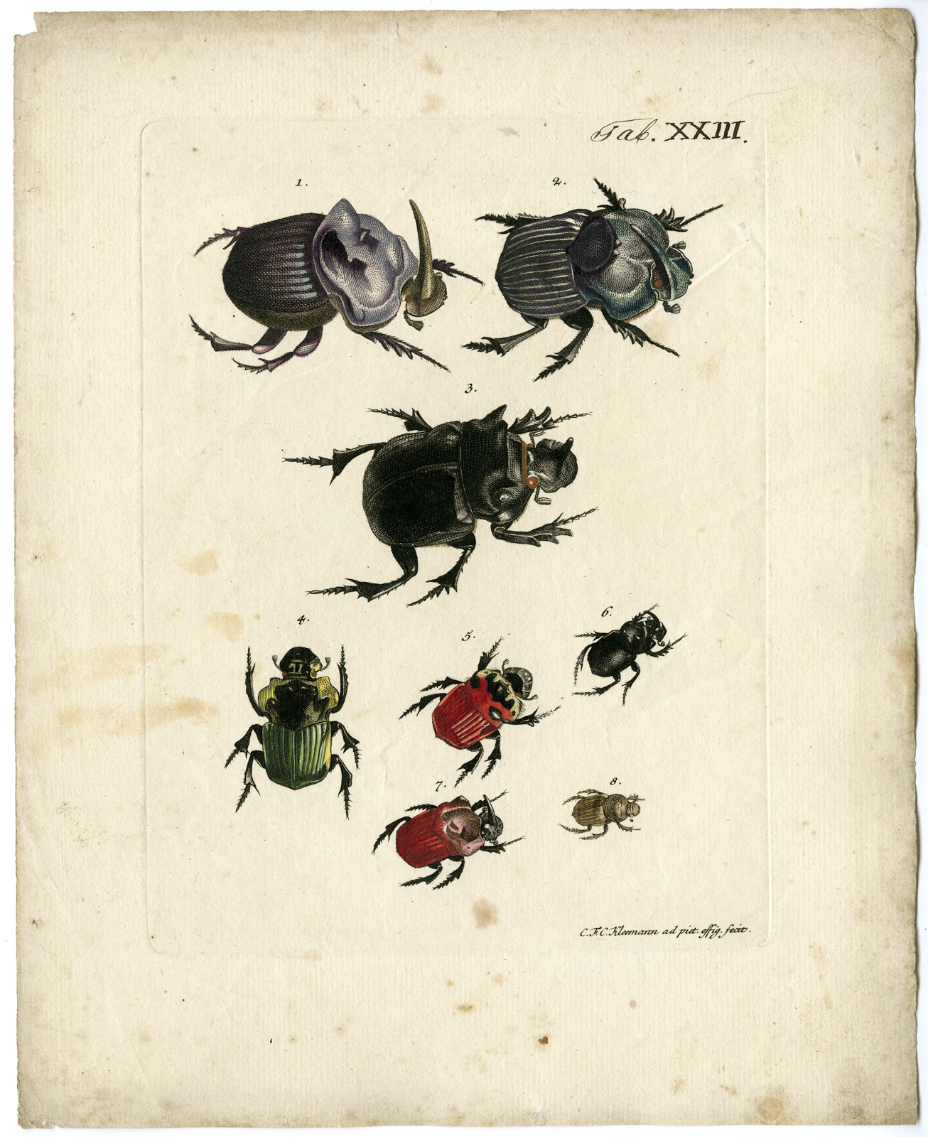 , Catalogue of available Antique Prints-INSECTS-J.E. Voet-Kleemann ao.-1766, Pictura Antique Prints