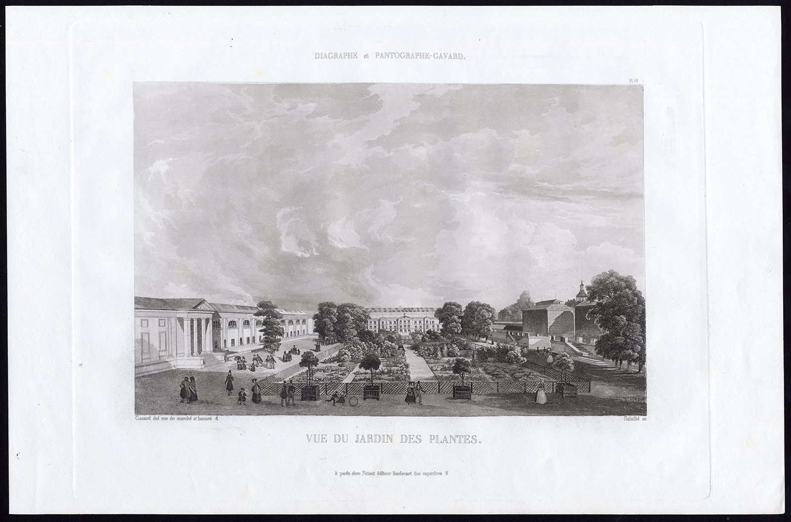 , Antique Print-Aquatint-PARIS-JARDIN DE PLANTES-GARDEN-Pl. 19-Salathe-Gavard-1845, Pictura Antique Prints