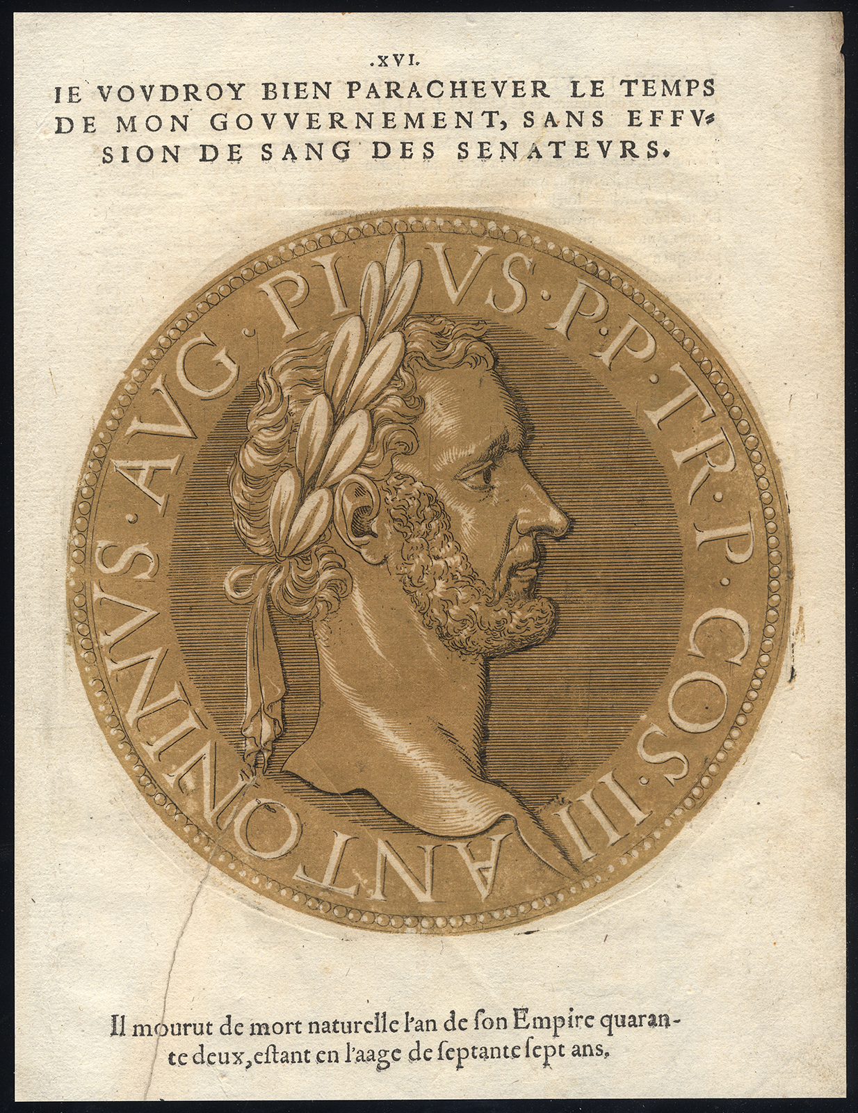, Antique Portrait Print-ANTONINUS PIUS-ROMAN EMPEROR-Jegher-Goltzius-1645, Pictura Antique Prints