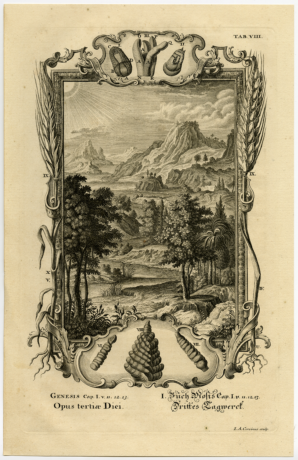 , Antique Print-RELIGIOUS-GENESIS-DAY THREE-CREATION-Scheuchzer-Fussli-1731, Pictura Antique Prints