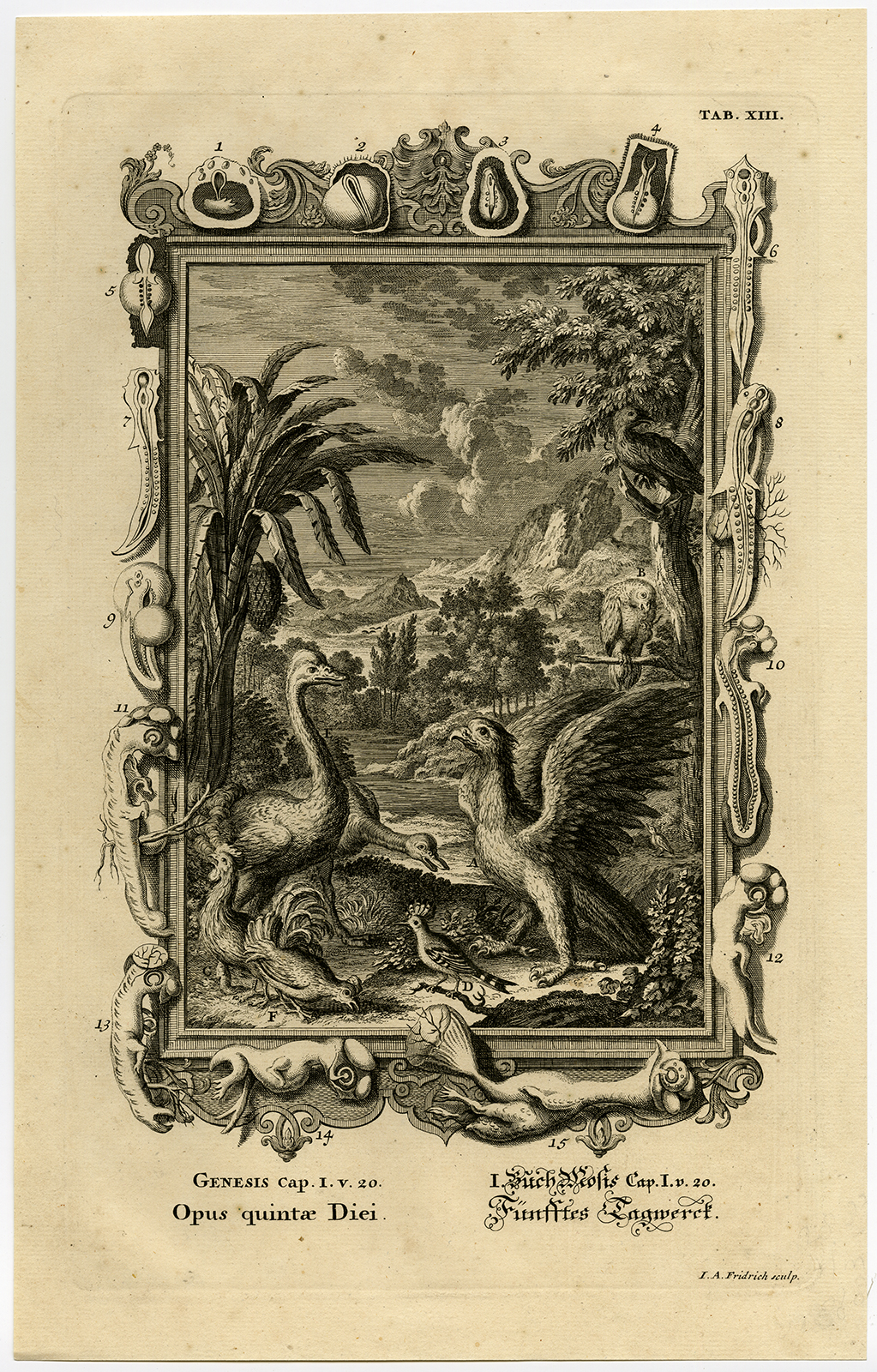 , Antique Print-BIRDS-FOWL-GENESIS-CREATION-DAY FIVE-Scheuchzer-Fussli-1731, Pictura Antique Prints