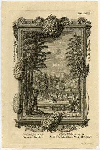 Antique Print-PREPARATION-CYPRESS WOOD-ARK-NOAH-Scheuchzer-Fussli-1731