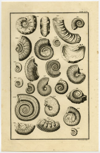 Antique Print-FOSSIL-SEA SHELL-LIX-Scheuchzer-Fussli-1731