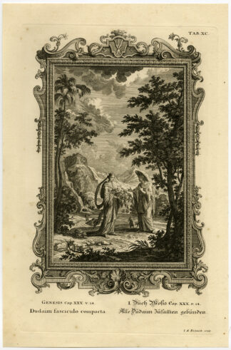 Antique Print-MANDRAGORA-BOUND TOGETHER-GENESIS-Scheuchzer-Fussli-1731