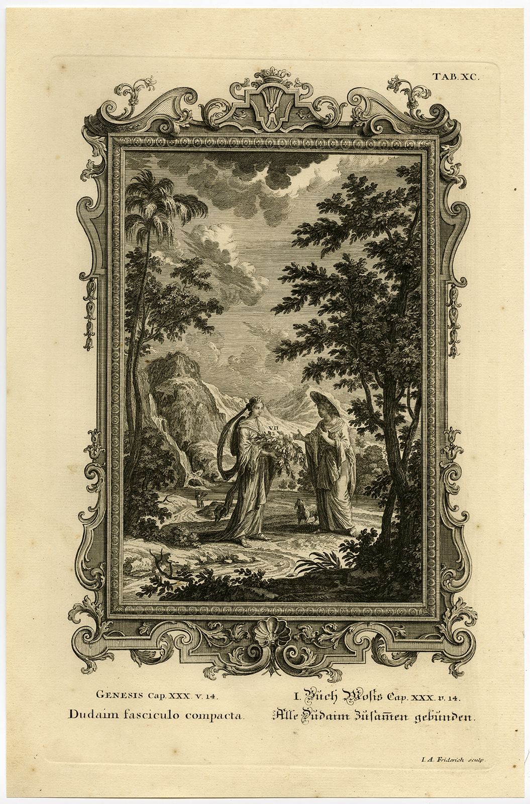 , Antique Print-MANDRAGORA-BOUND TOGETHER-GENESIS-Scheuchzer-Fussli-1731, Pictura Antique Prints