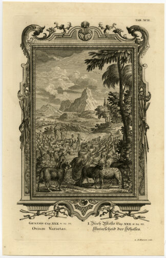 Antique Print-SORTING THE FLOCK-JACOB-LABAN-Scheuchzer-Fussli-1731