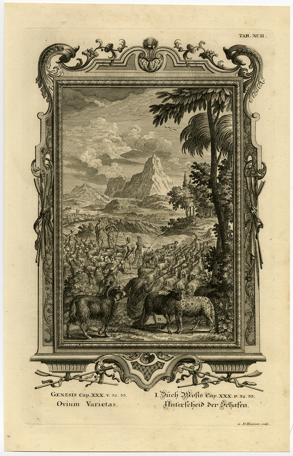 , Antique Print-SORTING THE FLOCK-JACOB-LABAN-Scheuchzer-Fussli-1731, Pictura Antique Prints