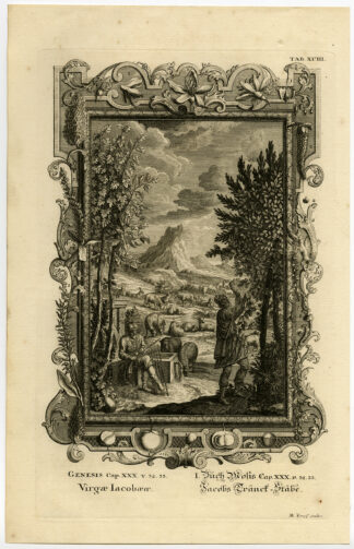 Antique Print-RODS OF POPLAR-HAZEL-CHESTNUT-Scheuchzer-Fussli-1731