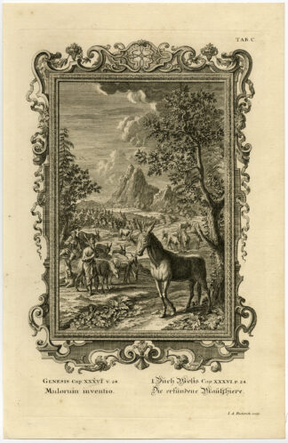 Antique Print-ANAH-MULE-FEED-DONKEY-ASS-Scheuchzer-Fussli-1731