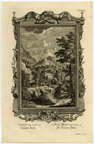 Antique Print-JUDAH-LION-WHELP-Scheuchzer-Fussli-1731