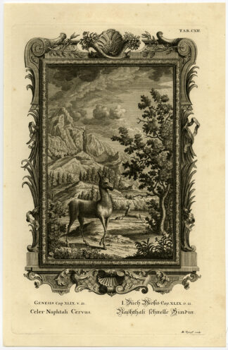 Antique Print-NAPHTALI-HIND-GOODLY WORDS-Scheuchzer-Fussli-1731